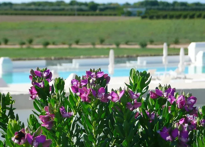 Masseria Bagnara &