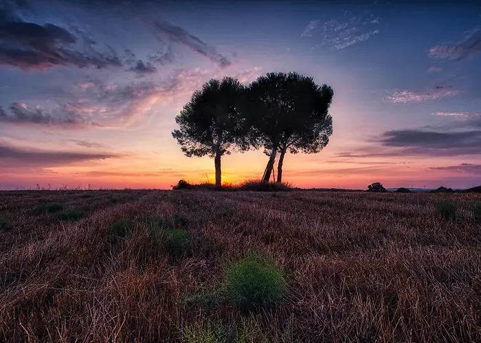 Masseria Bagnara &