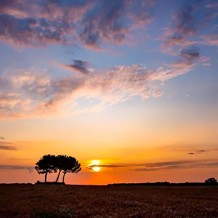 Masseria Bagnara &