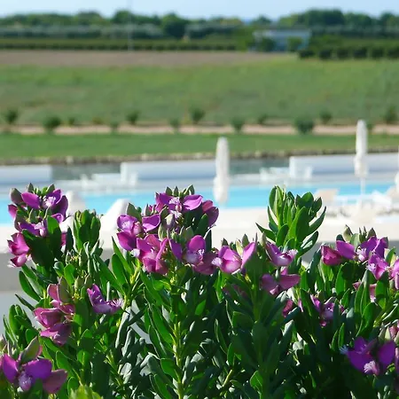 Masseria Bagnara &