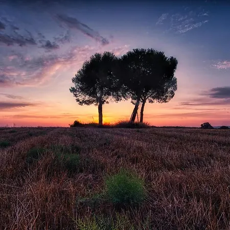 Masseria Bagnara &
